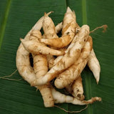 Arrowroot