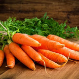 Carrot